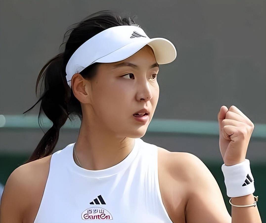 再次迎来了 再次迎来了