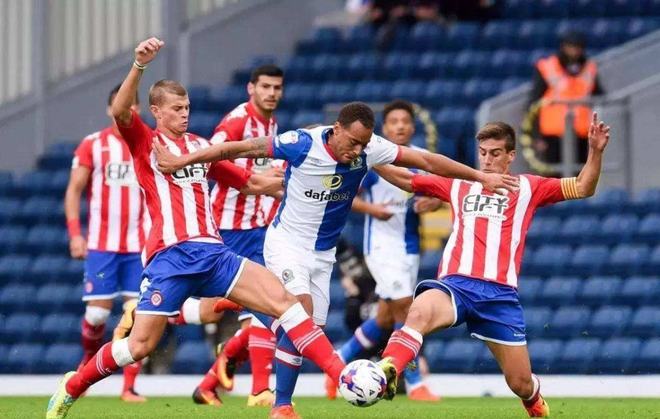 数据显示 数据显示