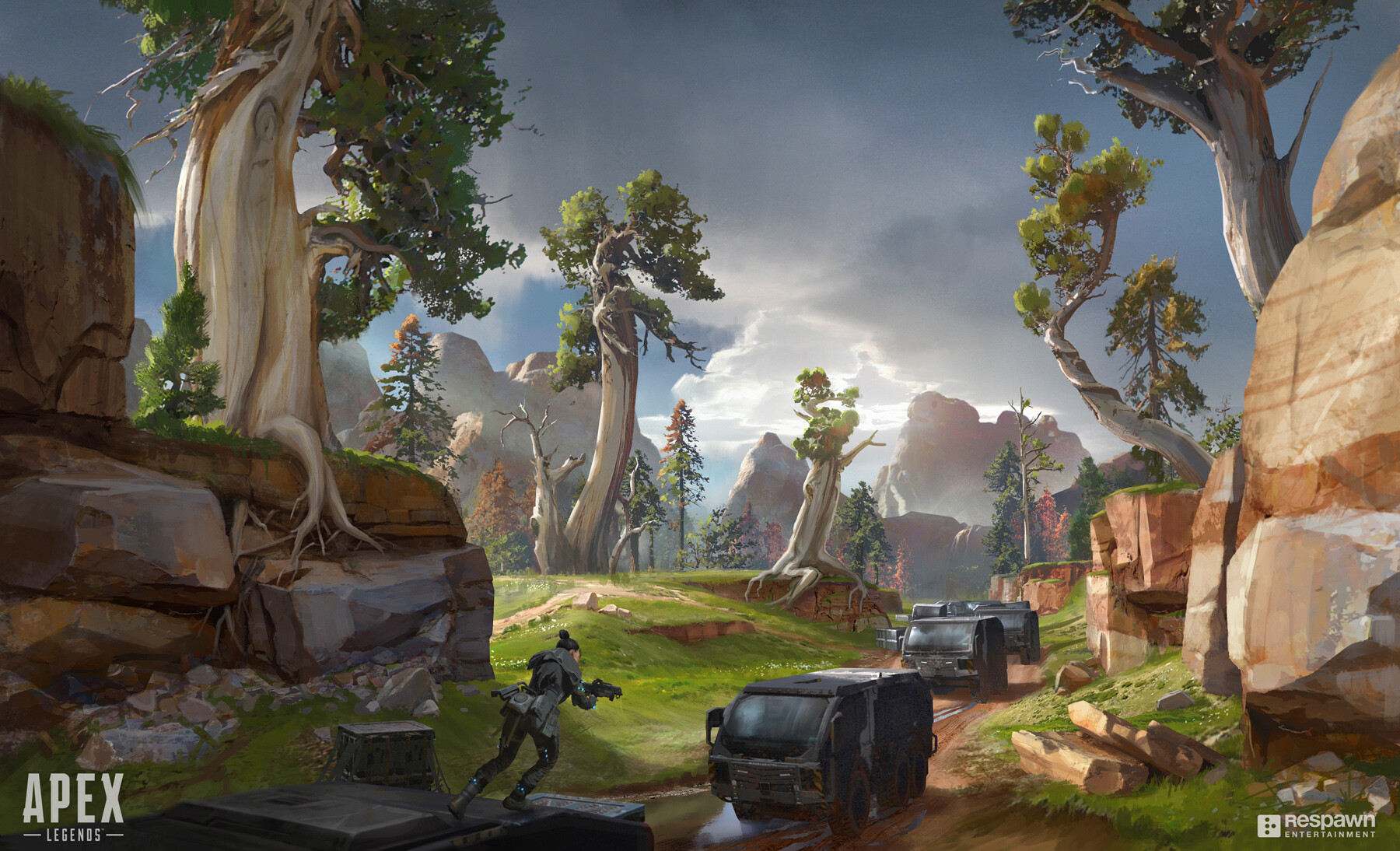 平衡与成熟 平衡与成熟